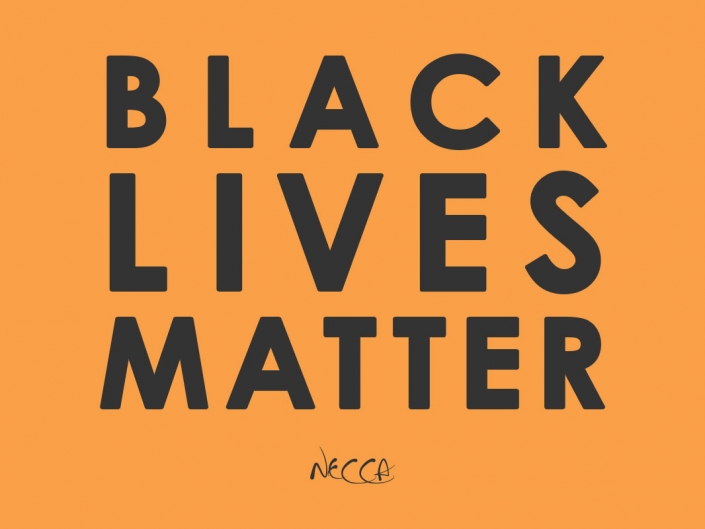 BLM-Newsletter-Image-Main